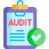 Technical Audits