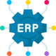 ERP & Data Integrations