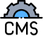 Content Management Systems (CMS)