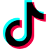 TikTok Video Services