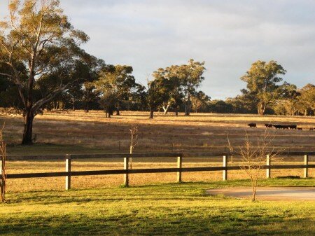 Adverse Possession Law